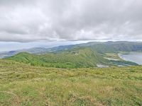Azorengrün im Park des Lagoa Fogo
