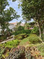 Botanischer Garten 2