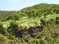Terceira - Fahrt über die Insel