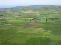 Blick von der Serra do Cume über die Patchworklandschaft von Terceira