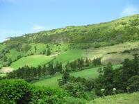 Auf der Fahrt von Sete Cidades zur Westküste