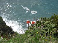 Am Aussichtspunkt Ponta do Escalvado