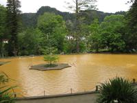 Furnas - Schwimmbecken des Terra-Nostra-Parkes