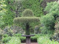 Furnas - Im Terra-Nostra-Park