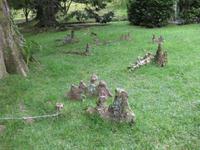 Wurzelgebilde im Terra-Nostra-Park