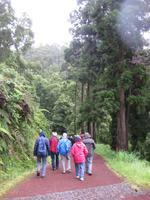 Kleine Wanderung zum Caldeira Velha (Badewasserfall)