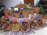 In der Likörfabrik von Ribeira Grande