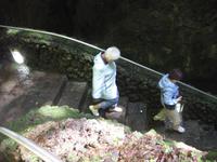 Abstieg in die Höhle Algar do Carvao