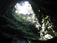 ... ein Blick nach oben