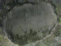 In der Höhle Algar do Carvao