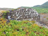 Capelinhos - verschwundene Häuser