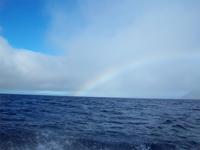 auf dem Weg zu den Meeresbewohnern