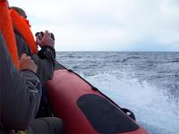 Eine Bootsfahrt die ist lustig...