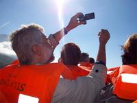 Bootsfahrt zu den Walen