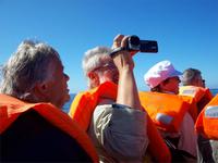 Bootsfahrt zu den Walen