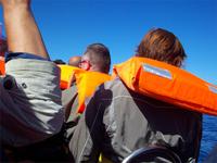 Bootsfahrt zu den Walen