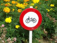 Vila Franca do Campo