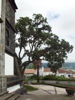 Ribeira Grande