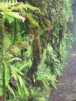 Wanderung entlang von Kraterseen