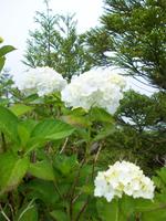 Wanderung entlang von Kraterseen