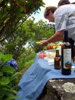 Picknick am Lagoa Azul