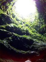 Gruta do Algar do Carvao