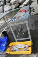 Sao Miguel: Fischereihafen Lagoa