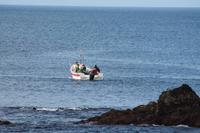 Sao Miguel: Fischereihafen Lagoa