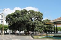 Sao Miguel: Ponta Delgada Hauptplatz mit Pfarrkirche