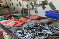 Sao Miguel: Ponta Delgada - Markthalle