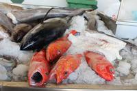 Sao Miguel: Ponta Delgada - Markthalle