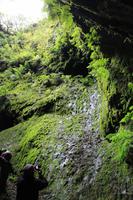 Terceira: Algar do Carvao