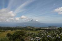 Faial: Krater Caldeira - Blick zum Pico 