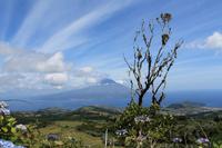 Faial: Krater Caldeira - Blick zum Pico 