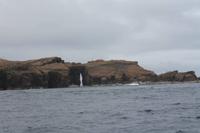 Faial: Fährüberfahrt nach Pico - Delfinbild im Felsen