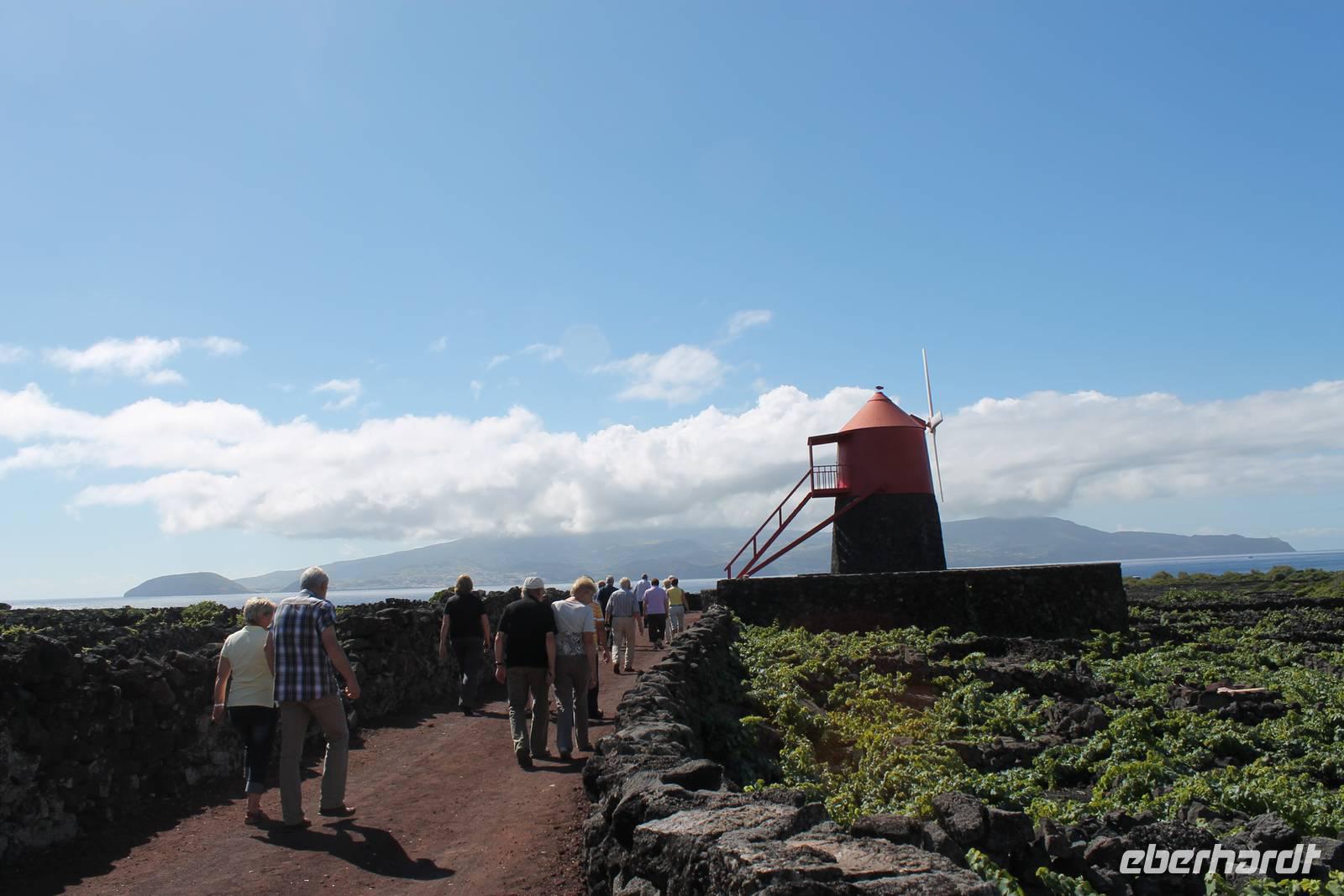 Pico: Windmühle Moinho do Frade 