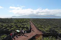 Pico: Welterbe Verdelho-Anbaugebiet