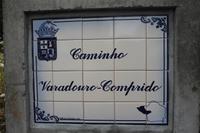 Faial: Küstenwanderung