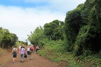Faial: Küstenwanderung