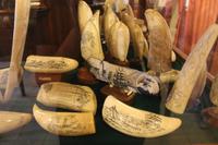 Faial: Horta - Scrimshaw-Museum
