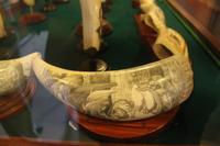 Faial: Horta - Scrimshaw-Museum, Tiere zu Gast im Peter Sport Café