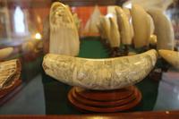 Faial: Horta - Scrimshaw-Museum, politische Berühmtheiten zu Gast im Peter Sport Café