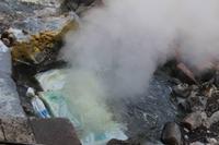 Sao Miguel: Furnas - Maiskolben