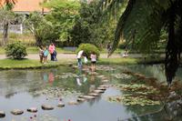 Sao Miguel: Furnas - Park Terra Nostra