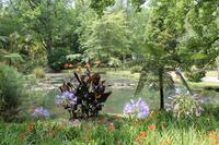 Sao Miguel: Furnas - Park Terra Nostra