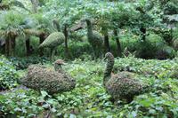 Sao Miguel: Furnas - Park Terra Nostra Skulpturenpark