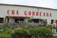 Sao Miguel: Teefabrik „Plantacoes de Cha Gorreana