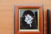 Sao Miguel: Capelas - ethnografisches Museum Manuela Joao Melo  - Kunst aus Feigenbaummark