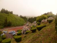 Azoren August 2014 031