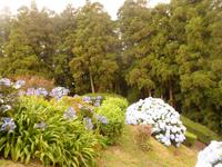 Azoren August 2014 032